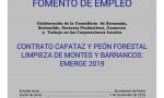 Fomento de empleo