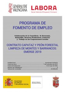 Fomento de empleo